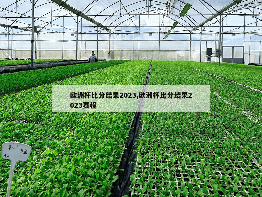 欧洲杯比分结果2023,欧洲杯比分结果2023赛程