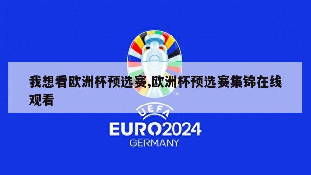 我想看欧洲杯预选赛,欧洲杯预选赛集锦在线观看