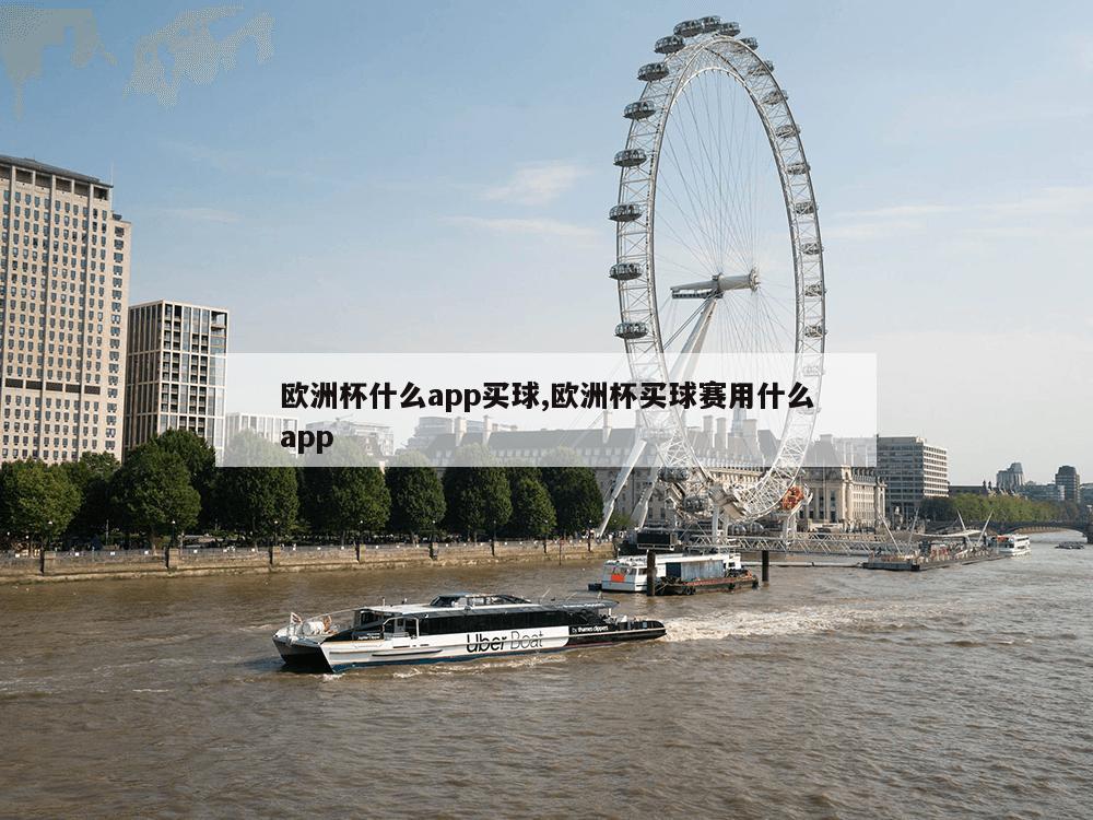 欧洲杯什么app买球,欧洲杯买球赛用什么app