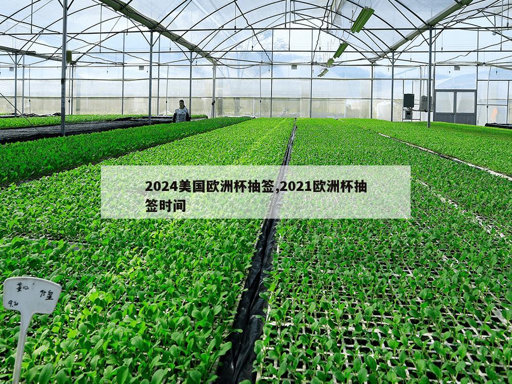 2024美国欧洲杯抽签,2021欧洲杯抽签时间